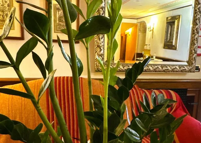 Corte Contarina Hotel