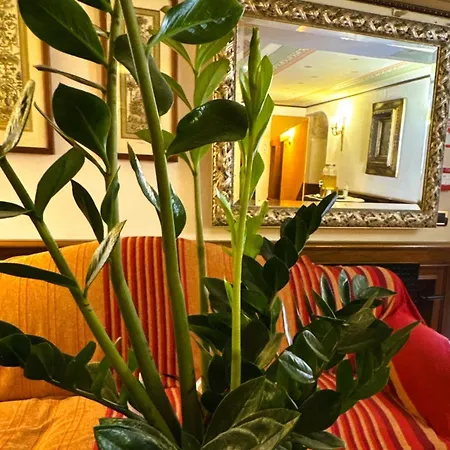 Corte Contarina מלון